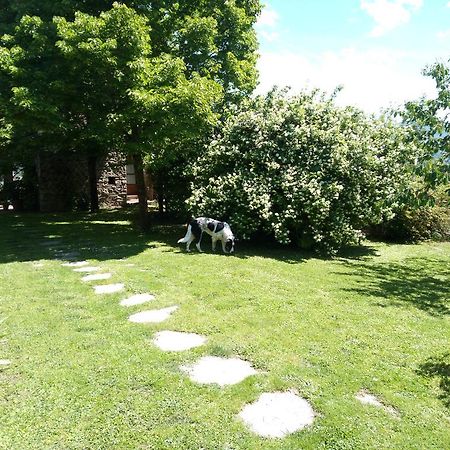 הוילה גרבה אין קיאנטי Casa Mezzuola Agriturismo מראה חיצוני תמונה