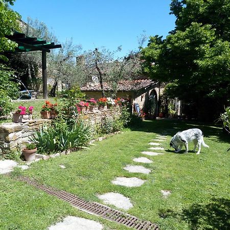 הוילה גרבה אין קיאנטי Casa Mezzuola Agriturismo מראה חיצוני תמונה