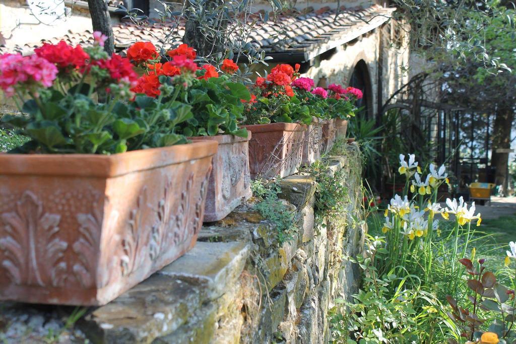 הוילה גרבה אין קיאנטי Casa Mezzuola Agriturismo מראה חיצוני תמונה