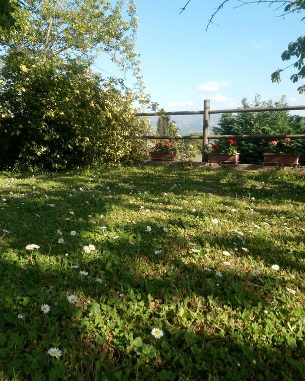 הוילה גרבה אין קיאנטי Casa Mezzuola Agriturismo מראה חיצוני תמונה